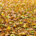preparing your commercial HVAC system for fall and winter