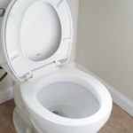 toilet